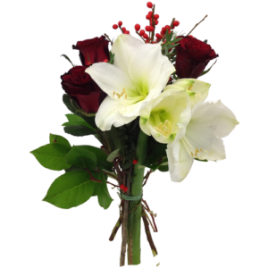 vit amaryllis bukett