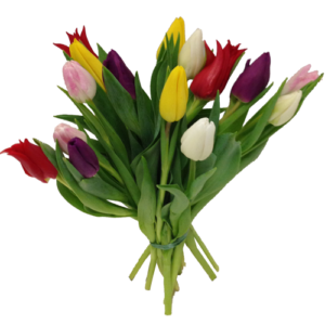 15 blandade tulpaner