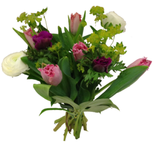 tulpan_bukett_rosa_vit