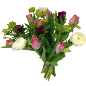 tulpan_bukett_rosa_vit