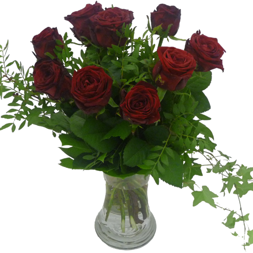 Eleganta 10 röda rosor och grönt