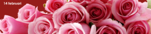rosor