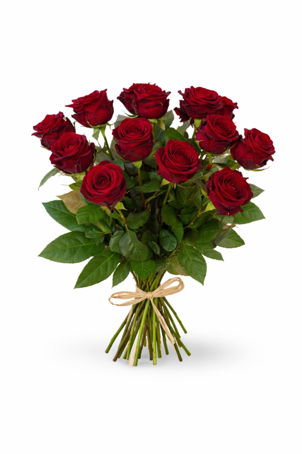 Bukett med tolv röda rosor med gröna blad, klassiskt arrangerad